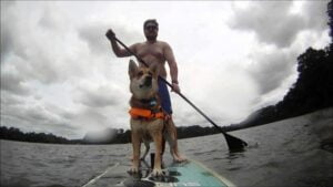 Stand Up Paddle Board With Your Dog