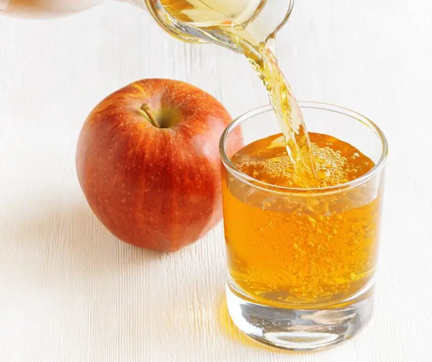 Apple Juice For Dogs