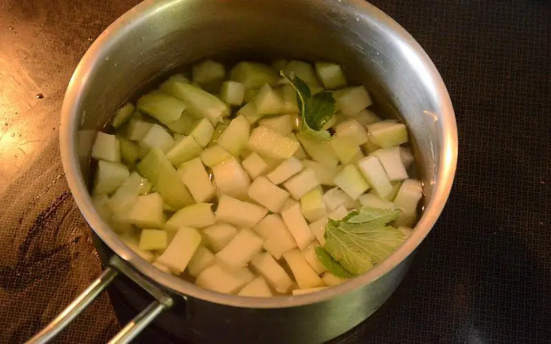 Can Dogs Eat Cooked Kohlrabi