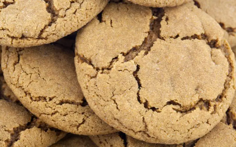 Can Dogs Eat Molasses Cookies