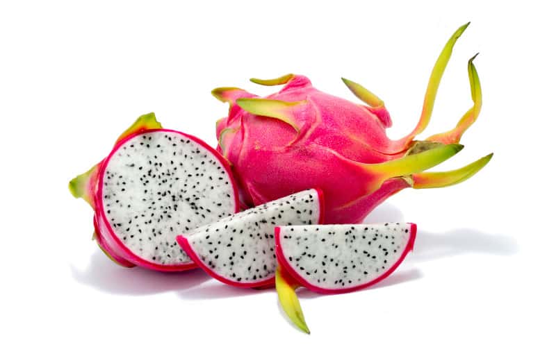 Can Dogs Have Dragon Fruit