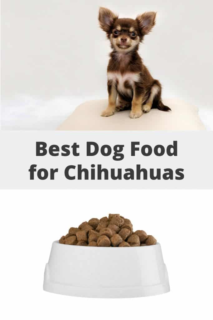 Chihuahua Dog Food
