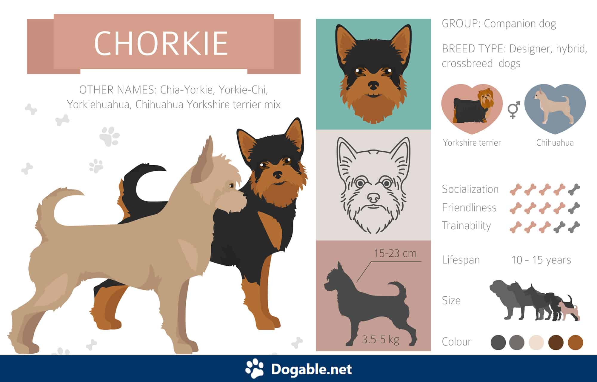 how big will a yorkie chihuahua mix get