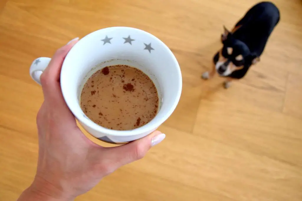Dog Drank Coffee