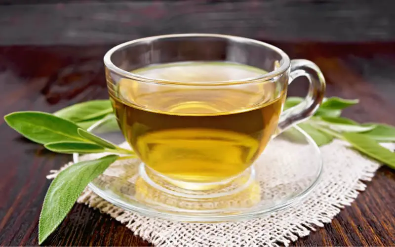 Green Tea For Dogs