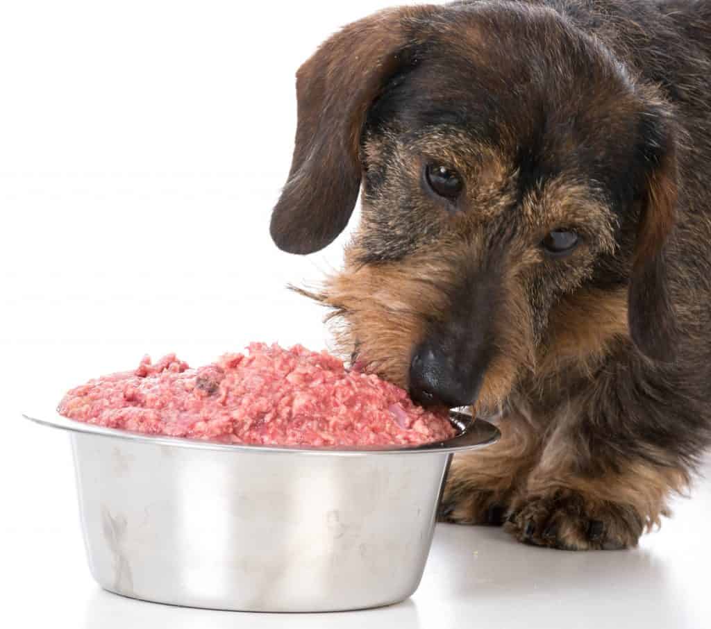 How Much Raw Food To Feed Dog