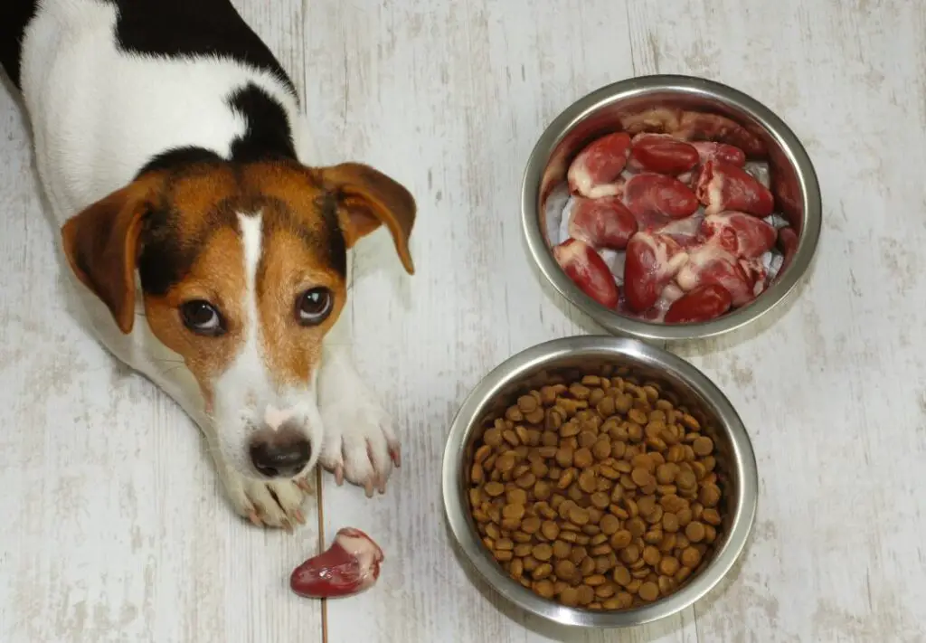 How To Cook Chicken Hearts For Dogs