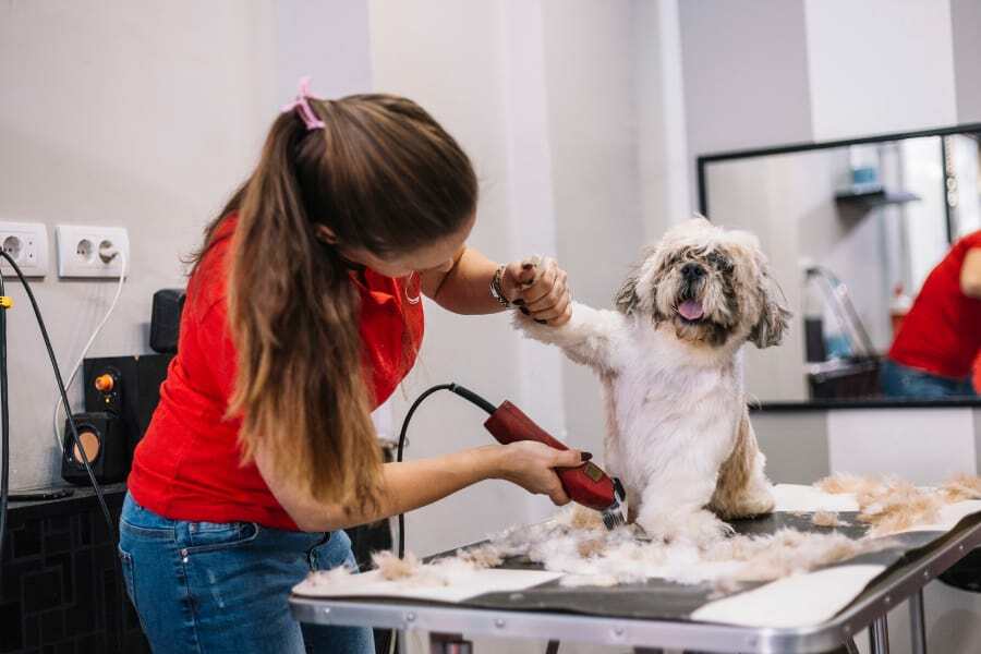 Afilar cortaúñas para perros