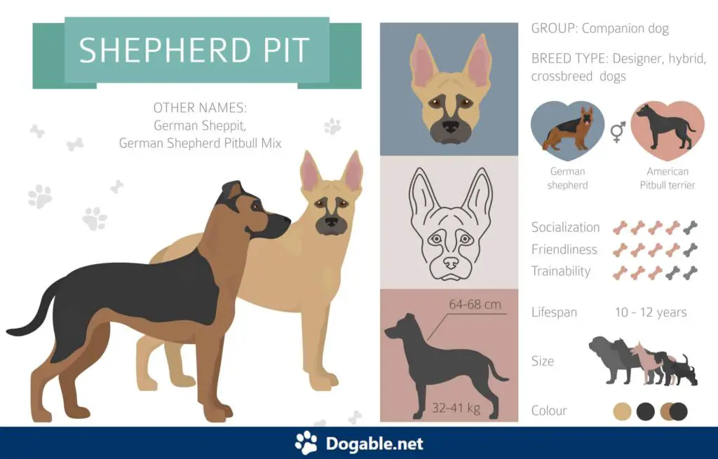 Shepherd Pit Infographic