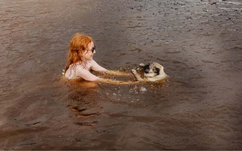 Swimming With Pug